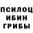 Псилоцибиновые грибы Psilocybe tariku aklilu