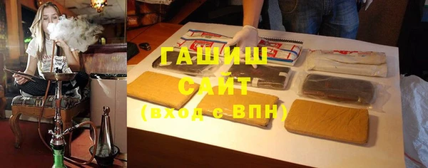 сатива Каменка