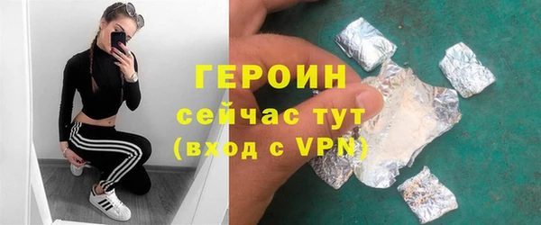 сатива Каменка