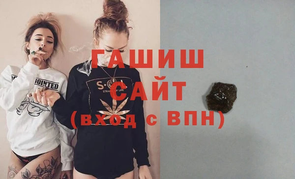 сатива Каменка