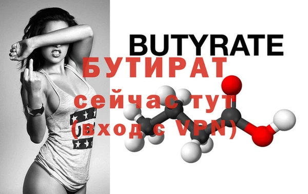 сатива Каменка
