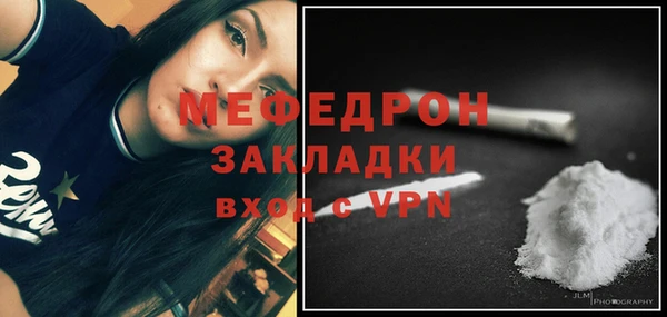 сатива Каменка