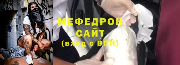 сатива Каменка