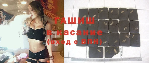 сатива Каменка