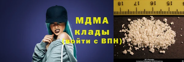 сатива Каменка