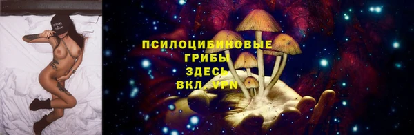 сатива Каменка