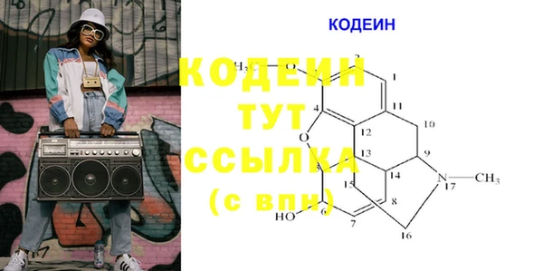 сатива Каменка