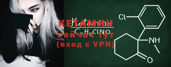 сатива Каменка