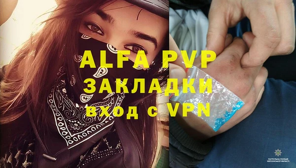 твердый Каменногорск