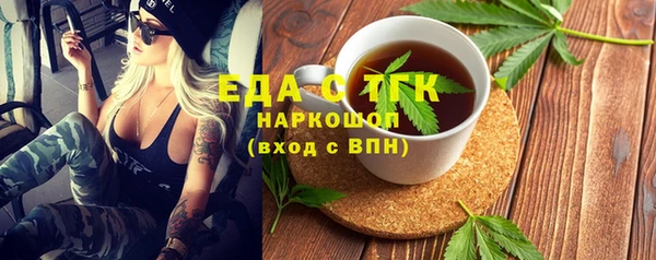 сатива Каменка