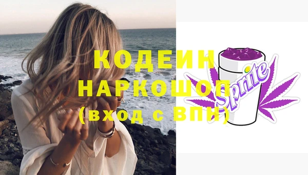 сатива Каменка