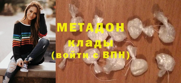 сатива Каменка